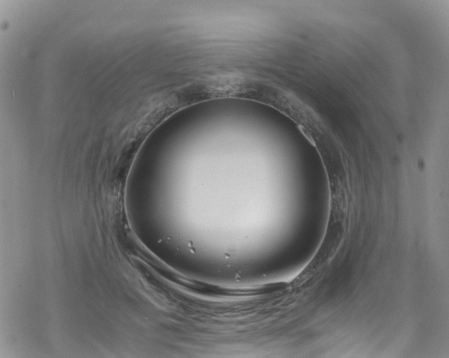 X0000069410601200605192306