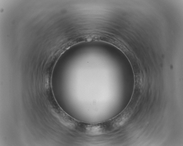 X0000069410602200605192306