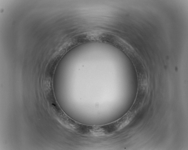 X0000069410603200605192306