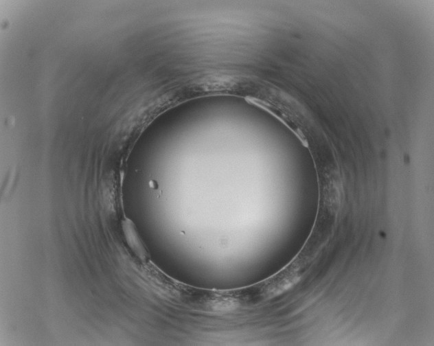 X0000069410604200605192306