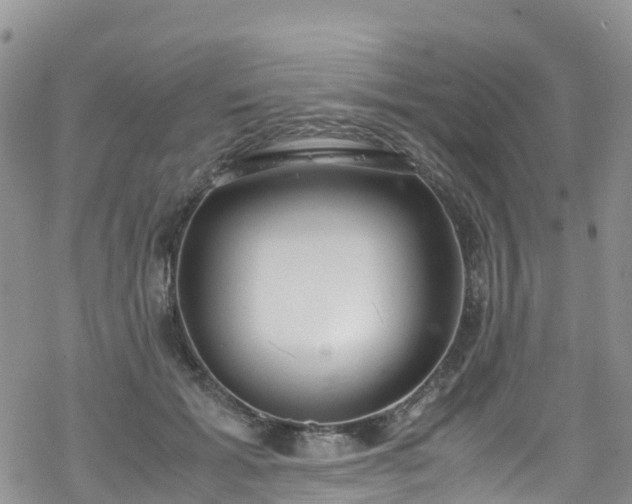 X0000069410605200605192306