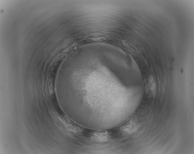 X0000069410606200605192306