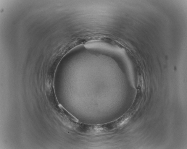 X0000069410607200605192306