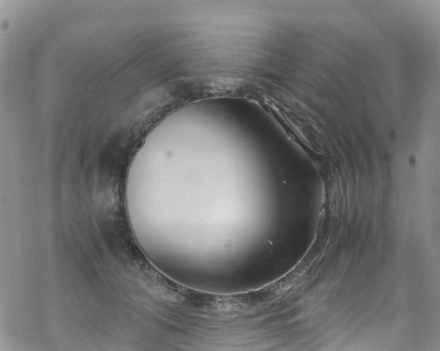 X0000069410608200605192306