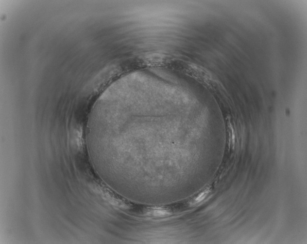 X0000069410610200605192306