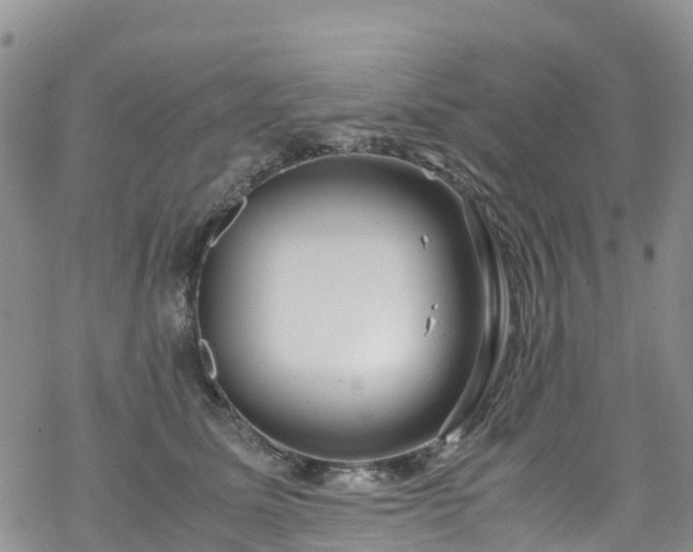 X0000069410611200605192306