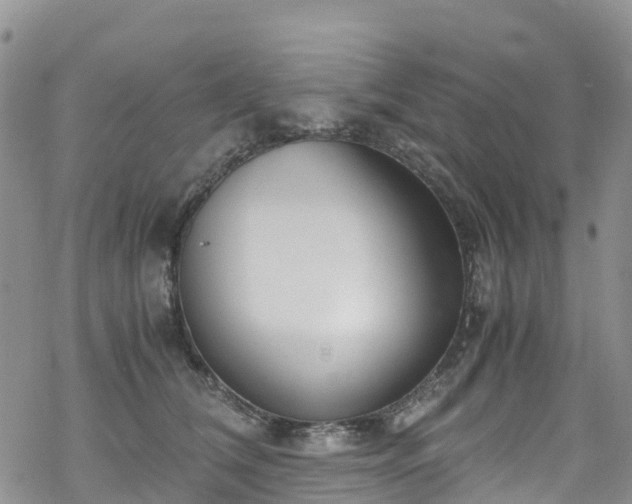 X0000069410612200605192305