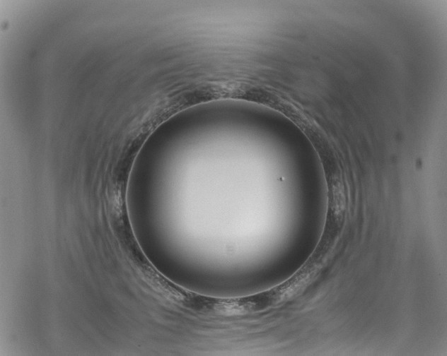 X0000069410613200605192305