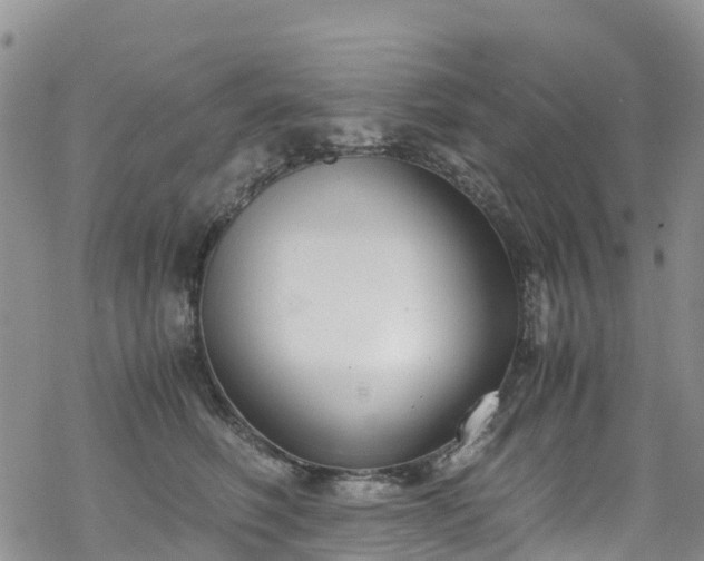 X0000069410614200605192305