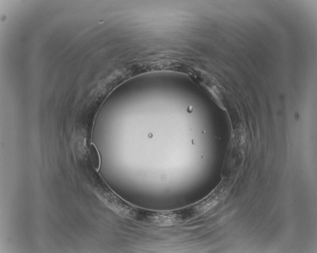 X0000069410615200605192305