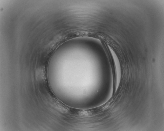 X0000069410616200605192305