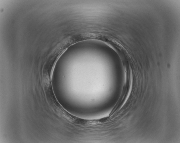 X0000069410617200605192305