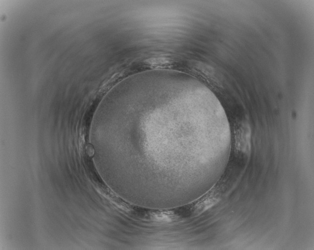 X0000069410618200605192305