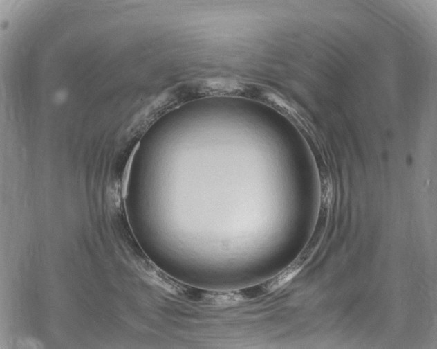 X0000069410621200605192305