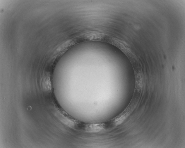 X0000069410622200605192305