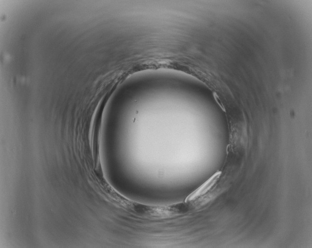 X0000069410623200605192305