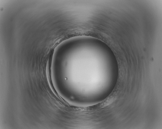 X0000069410624200605192305