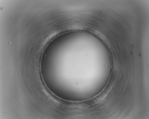 X0000069410625200605192305