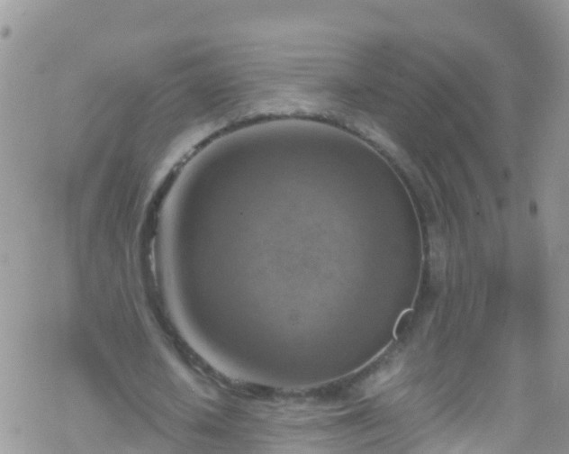 X0000069410626200605192305