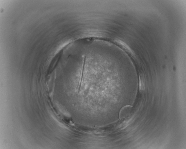 X0000069410627200605192305