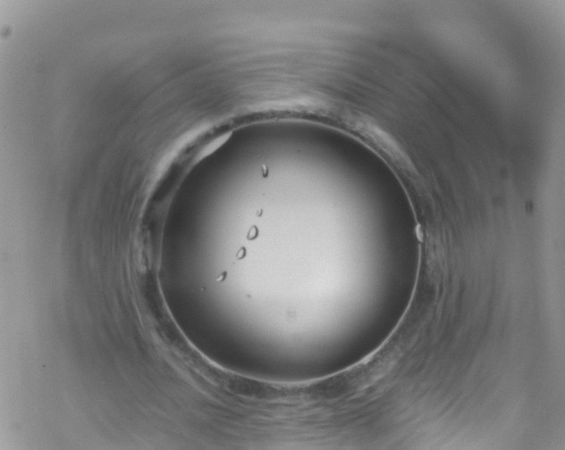 X0000069410628200605192305