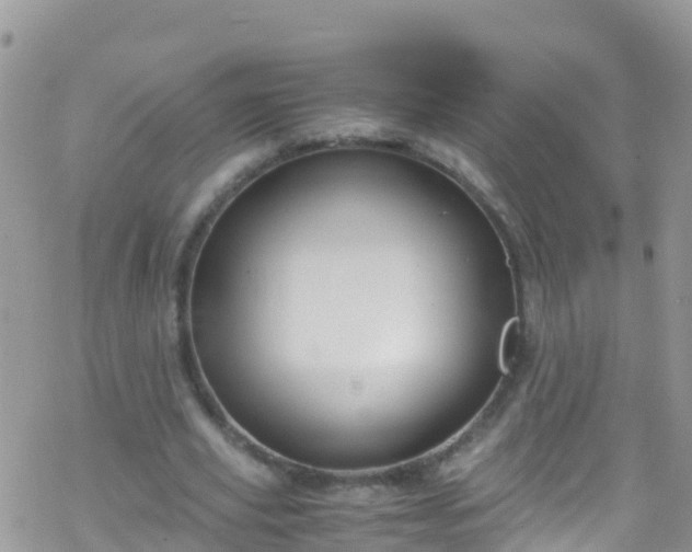 X0000069410629200605192305