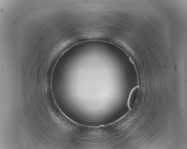 X0000069410631200605192305