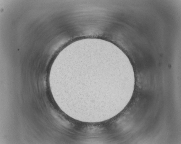 X0000069410632200605192305