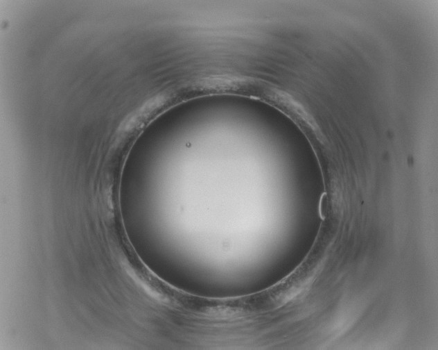 X0000069410633200605192305