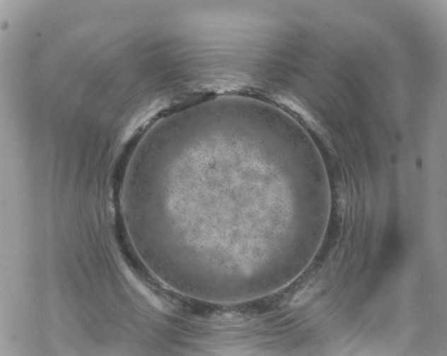 X0000069410634200605192305