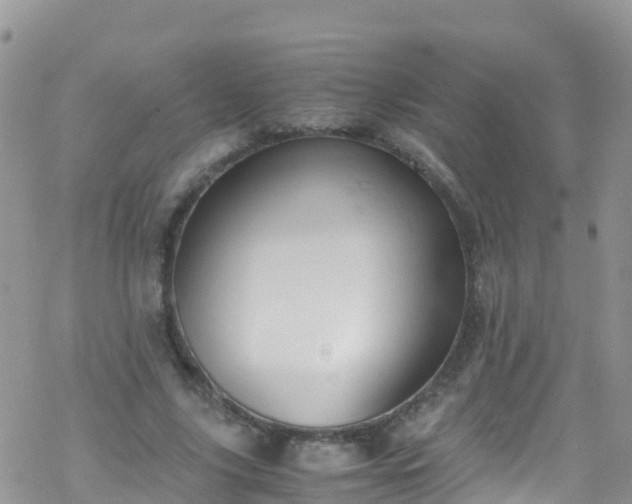 X0000069410635200605192305