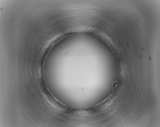 X0000069410636200605192305