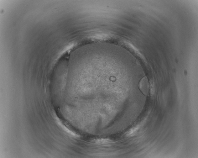 X0000069410637200605192305