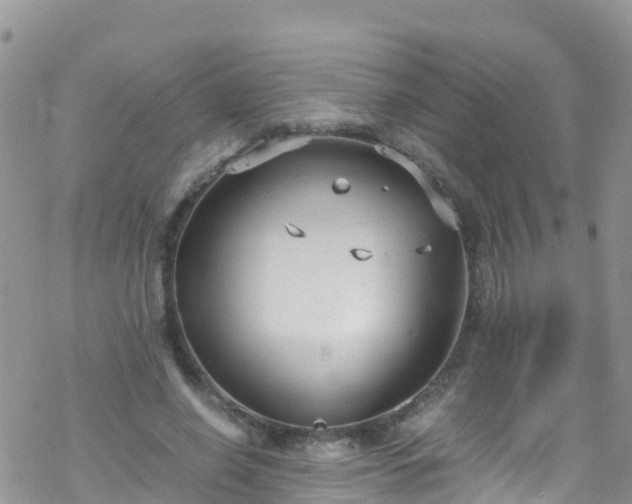 X0000069410638200605192305