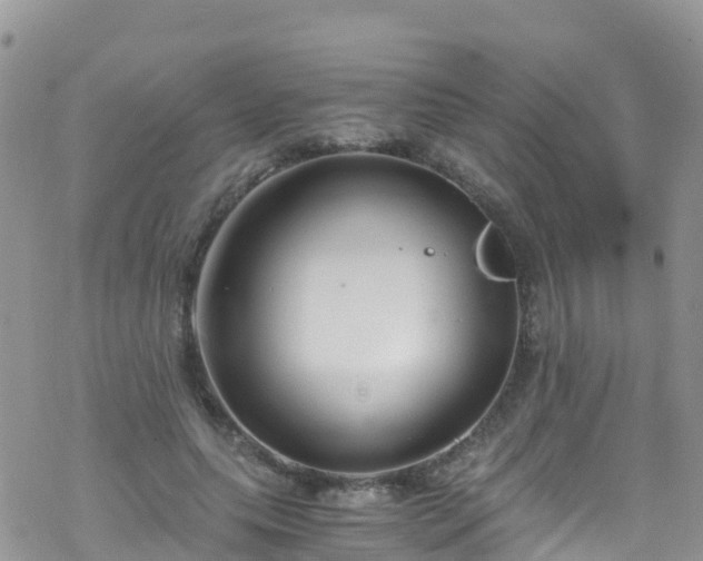 X0000069410639200605192305