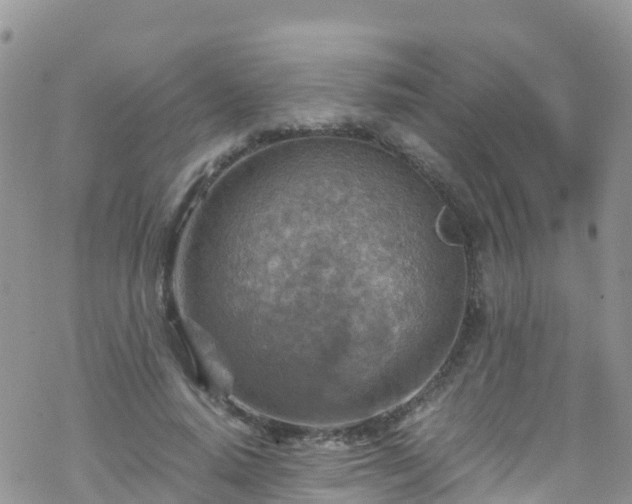 X0000069410640200605192305