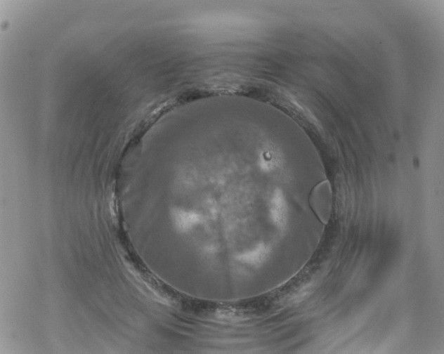 X0000069410641200605192305