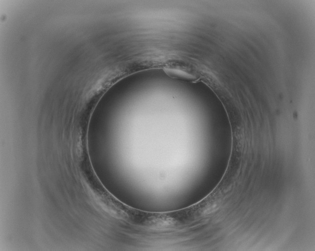 X0000069410642200605192305