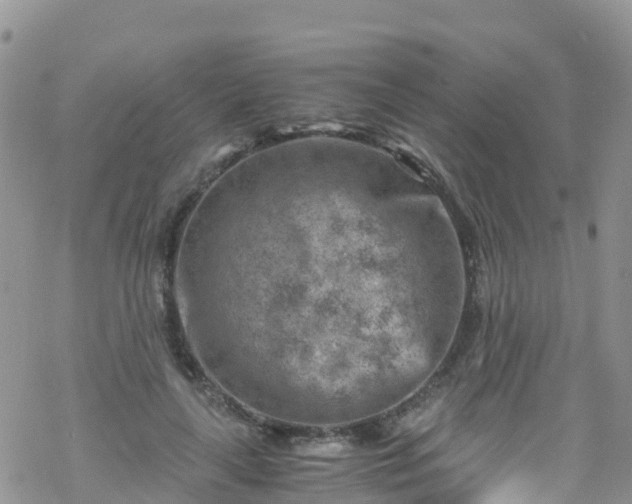 X0000069410643200605192305