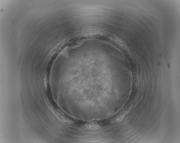 X0000069410644200605192305