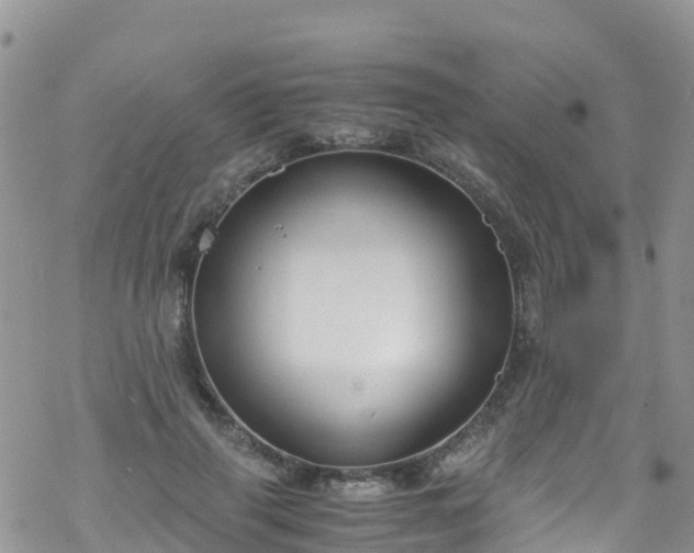 X0000069410645200605192305