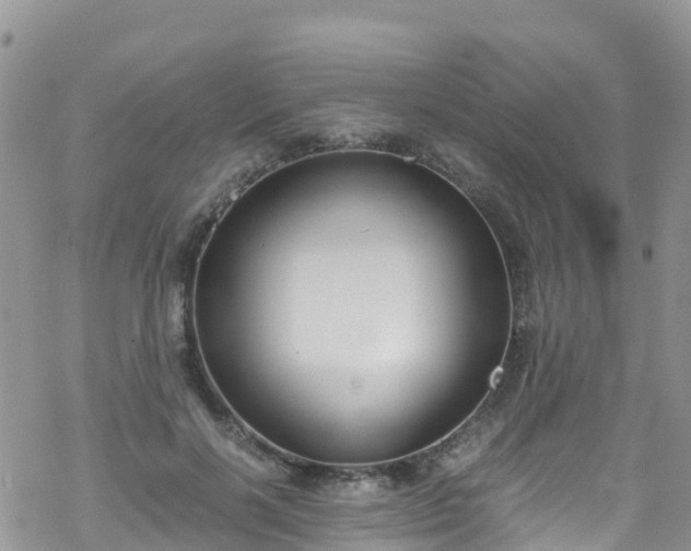 X0000069410646200605192305