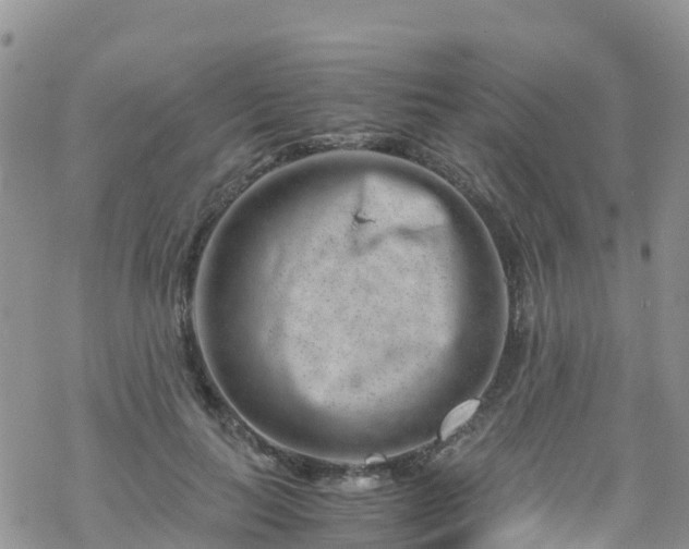 X0000069410647200605192305