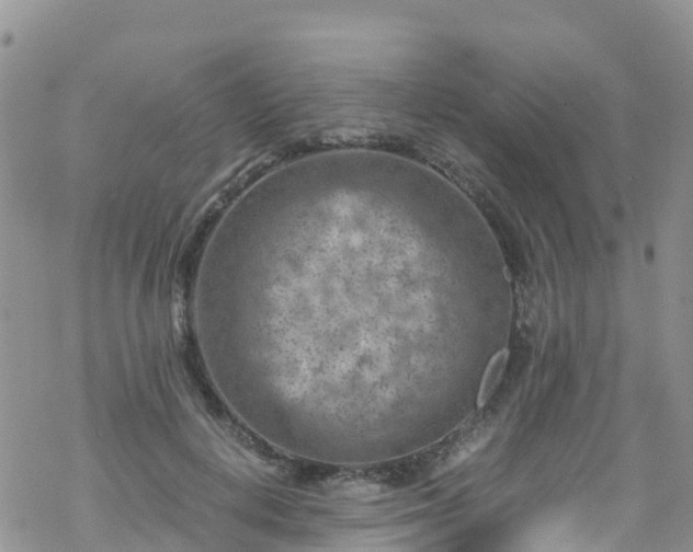 X0000069410648200605192305