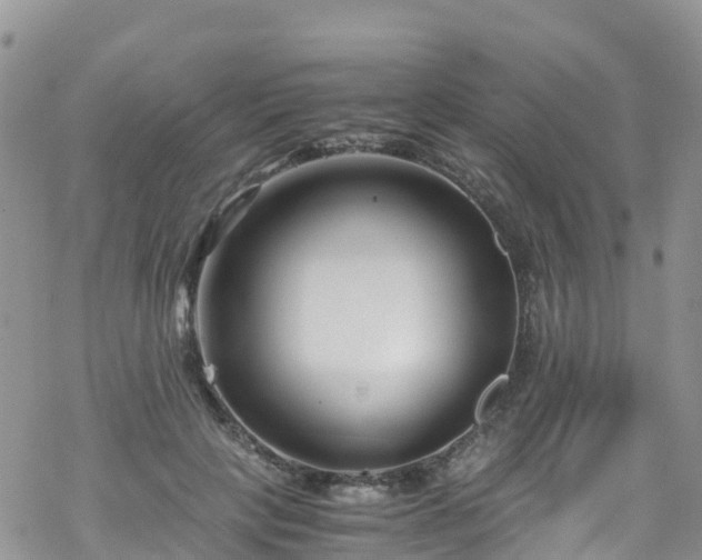 X0000069410649200605192305