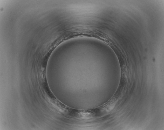 X0000069410650200605192305