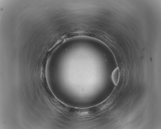 X0000069410651200605192305