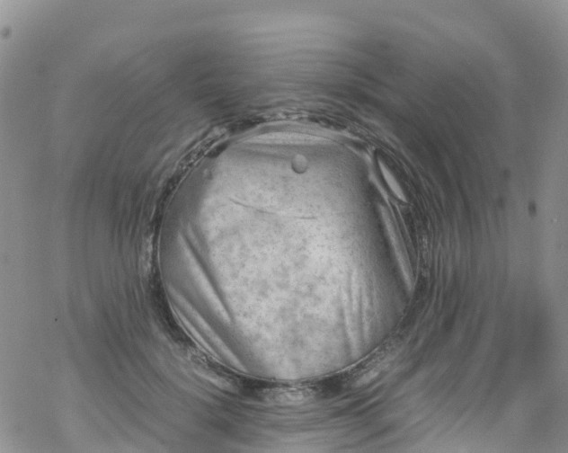 X0000069410652200605192305