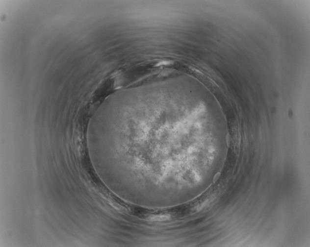 X0000069410653200605192305