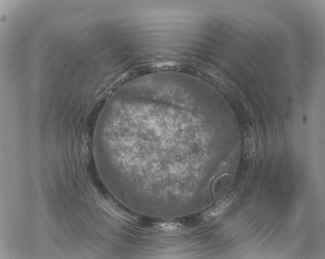 X0000069410654200605192305